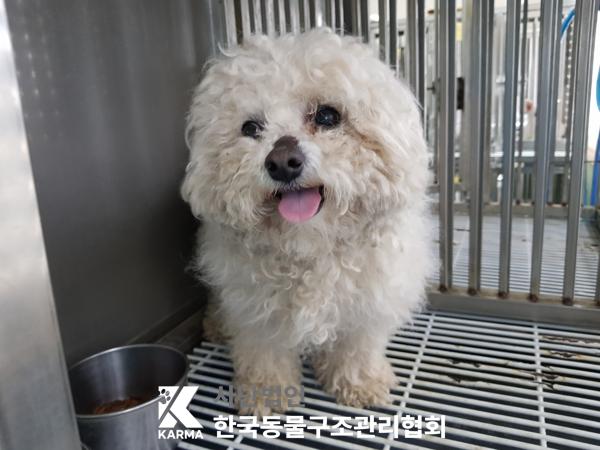 한국동물구조관리협회_441406202500188